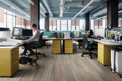 Interface Progression III plank carpet tile in cubicle with man and dog