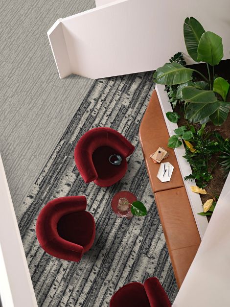 Aerial view of Interface First Light and Quiet Grove plank carpet tile in workplace collaborative space image number 5