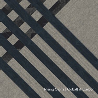 Rising Signs Cobalt and Carbon Folio Thumbnail