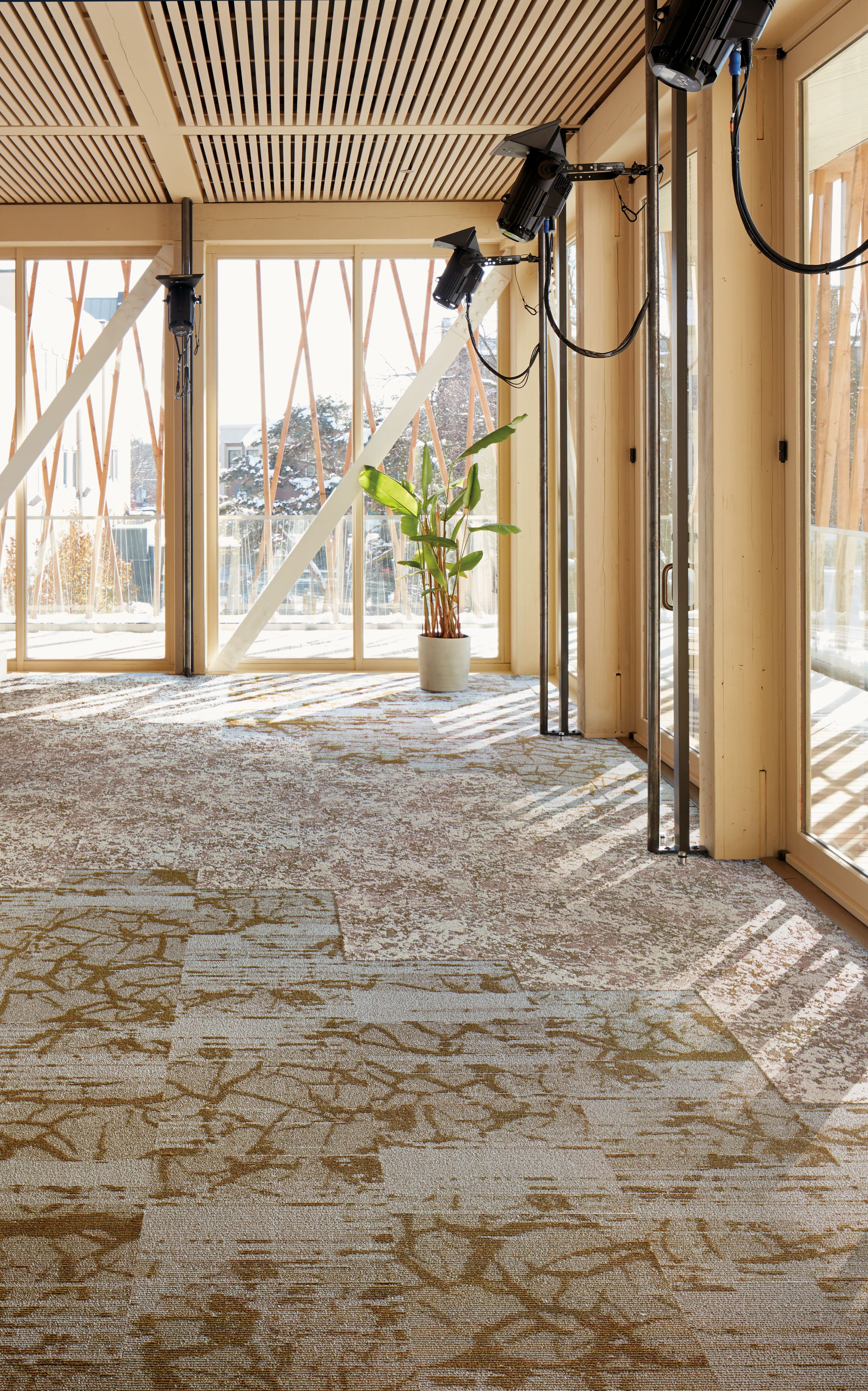 Interface Ground and Raku carpet tile in open space with large windows and natural light image number 5