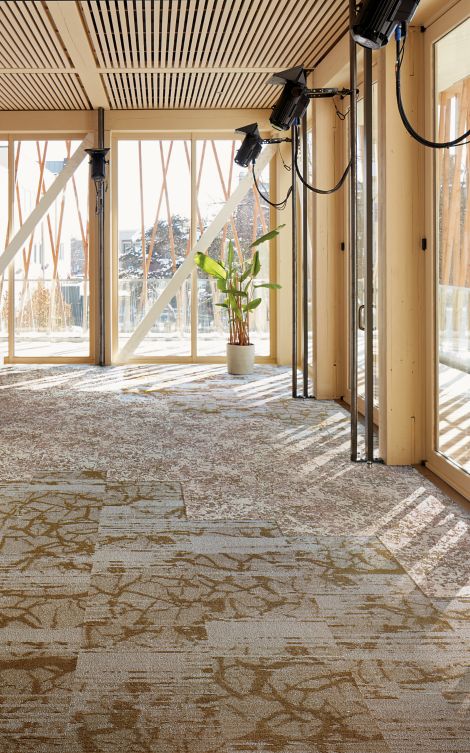 Interface Ground and Raku carpet tile in open space with large windows and natural light image number 11