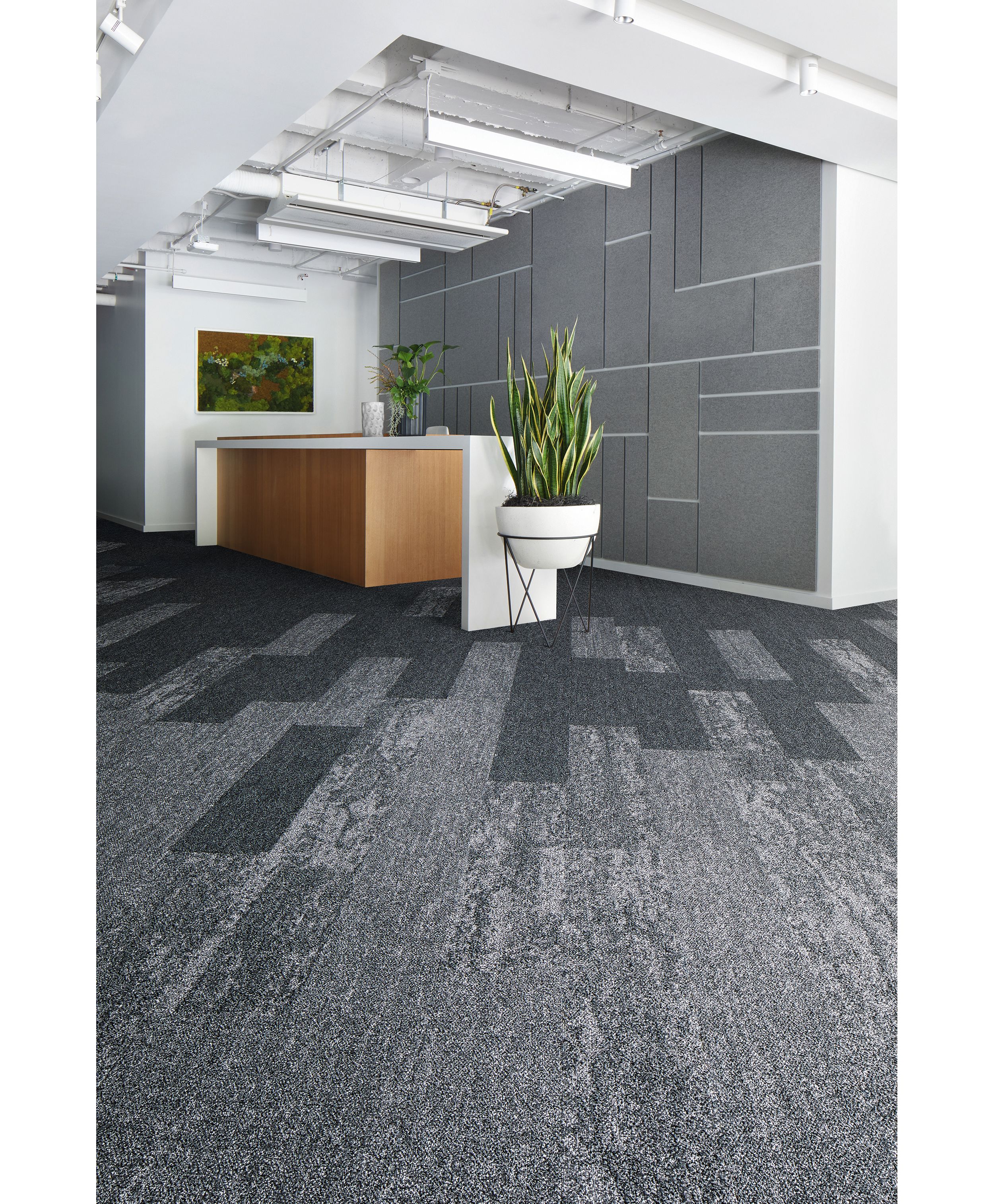 Interface Rockland Road, Rock Springs and Mantle Rock plank carpet tile in office lobby with large plant image number 3