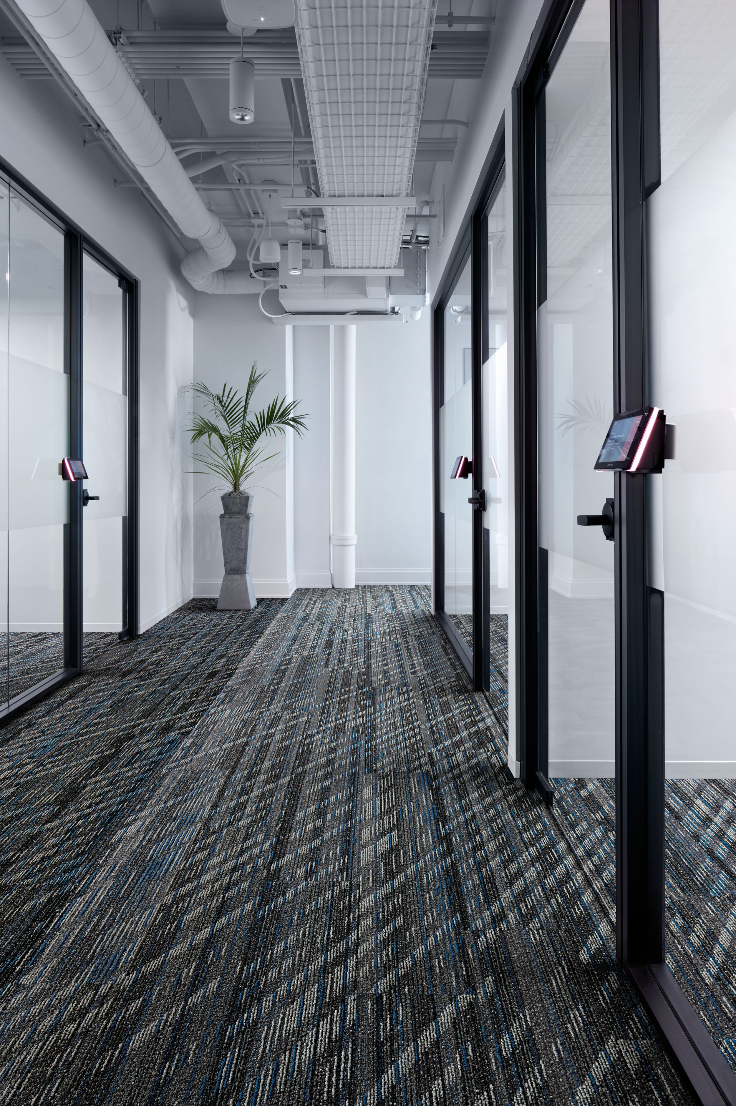 Interface Soft Glow plank carpet tile in office hallway imagen número 1