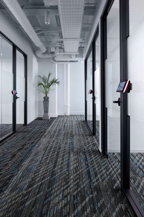 Interface Soft Glow plank carpet tile in office hallway