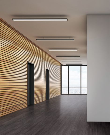 Interface Steady Stride Woodgrains LVT in office common area image number 4
