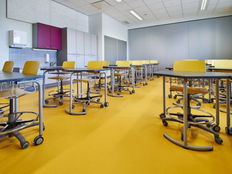 noraplan sentica rubber flooring in classroom imagen número 4