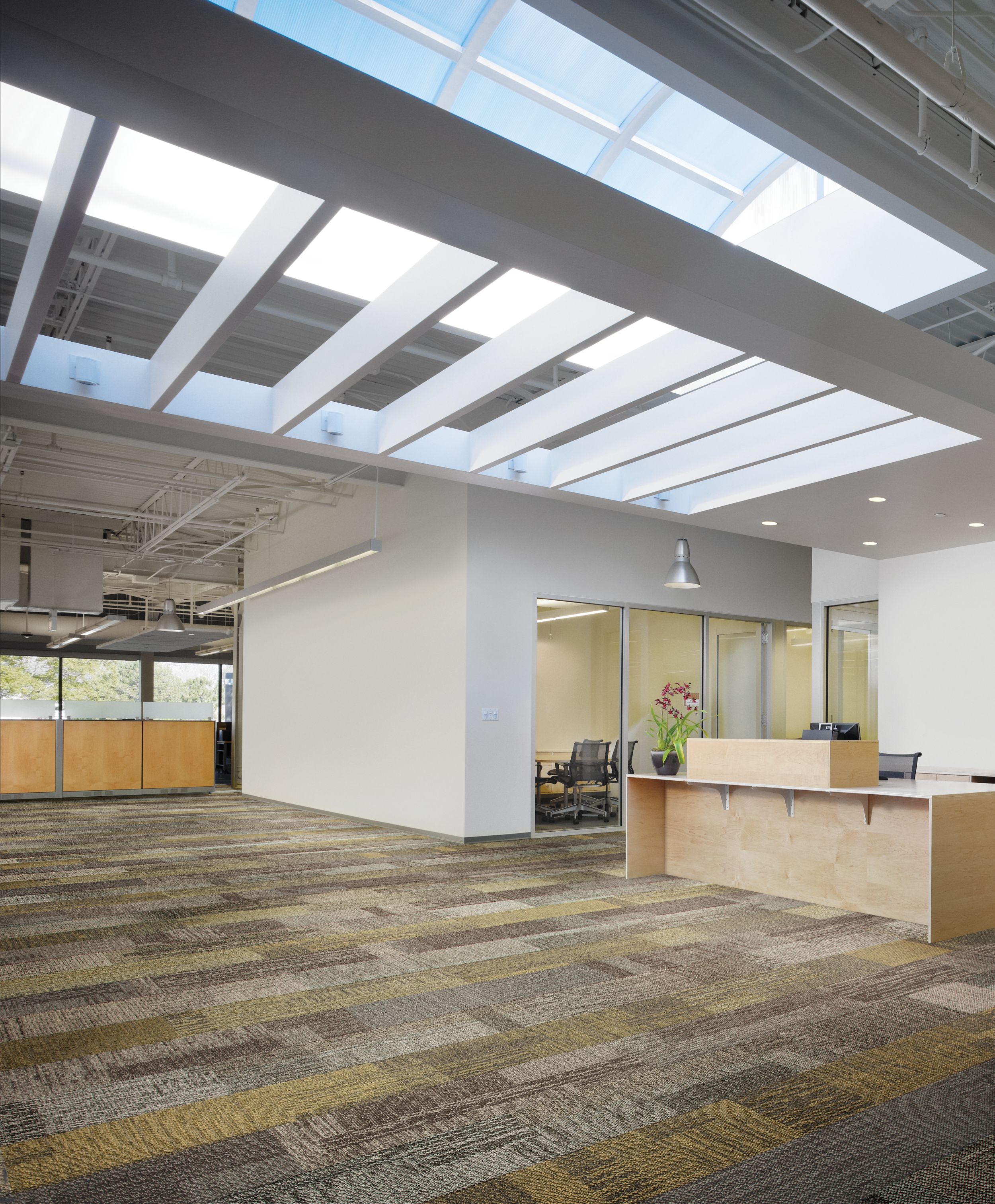 Interface Verticals plank carpet tile in open office setting with reception desk image number 15