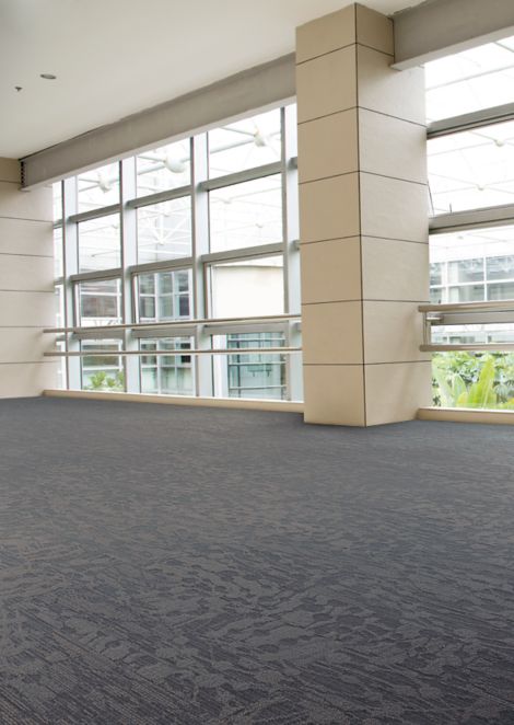 Interface WE154 plank carpet tile in corridor with glass walls
