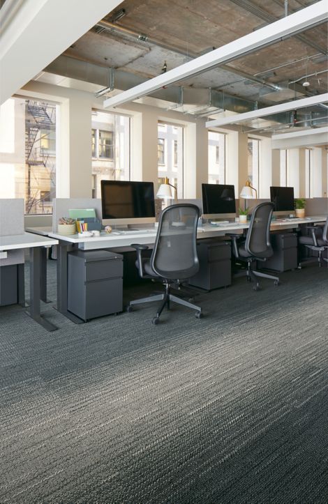 Interface WG100 and WG200 carpet tile in open office imagen n&uacute;mero 13