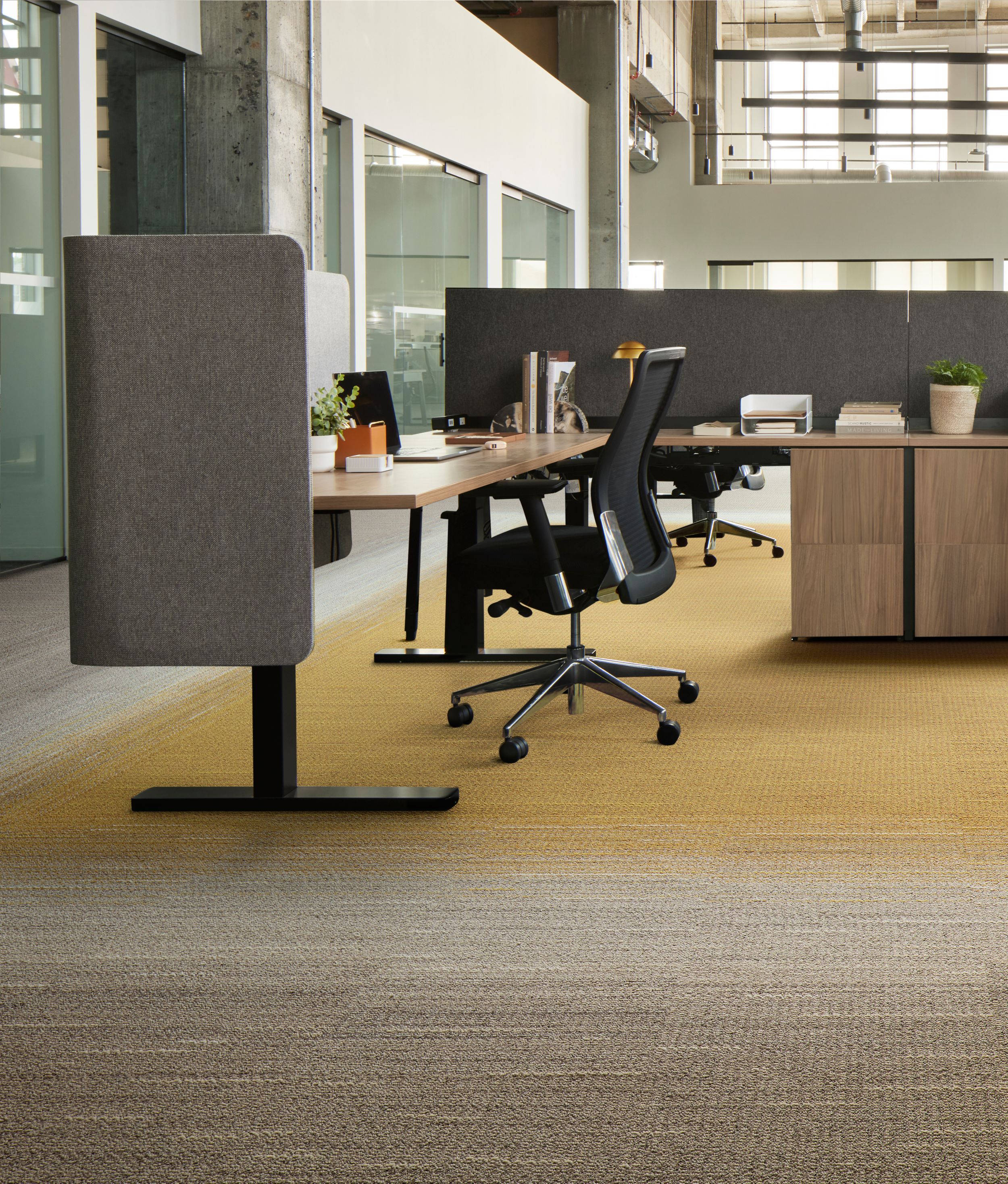 image Interface WG100 and WG200 carpet tile in workplace open ofice area numéro 7