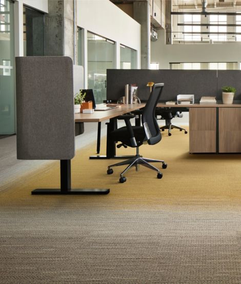 image Interface WG100 and WG200 carpet tile in workplace open ofice area numéro 7