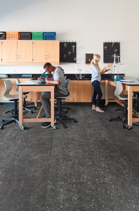 Interface Walk About and Walk of Life LVT in a chemistry lab