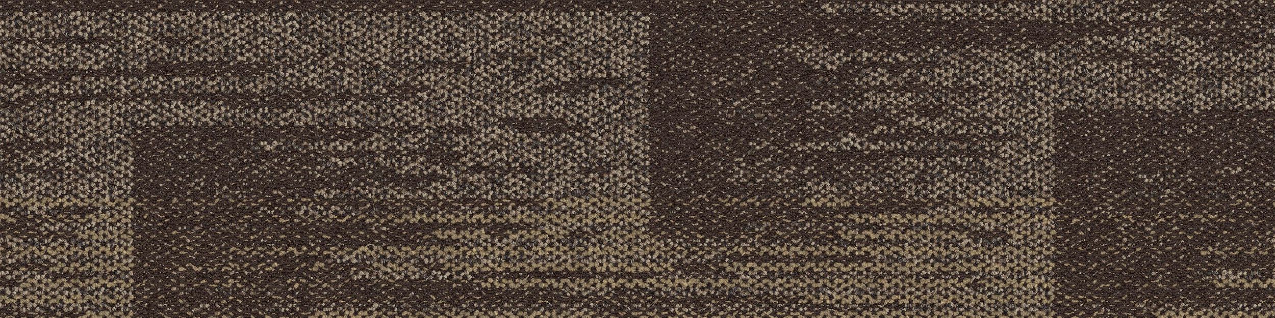 AE311 Carpet Tile In Mushroom imagen número 2