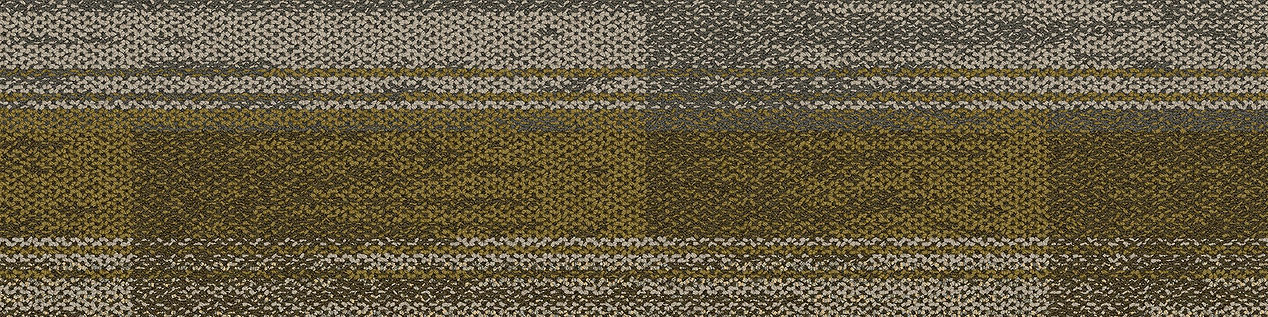 AE315 Carpet Tile In Fog/Citron imagen número 9