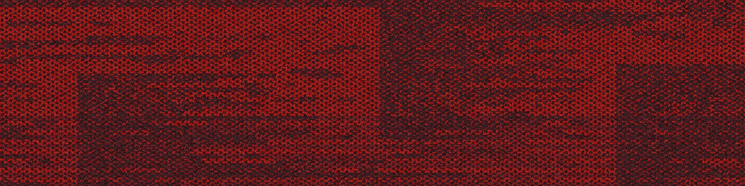 AE317 Carpet Tile In Berry imagen número 13