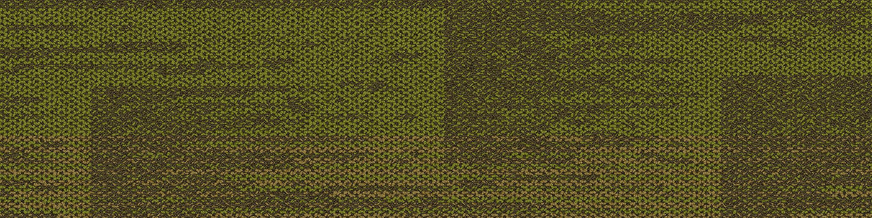 AE317 Carpet Tile In Citron imagen número 13