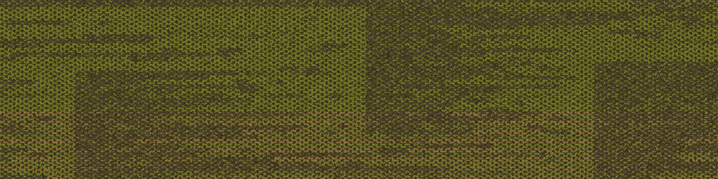 AE317 Carpet Tile In Citron image number 2