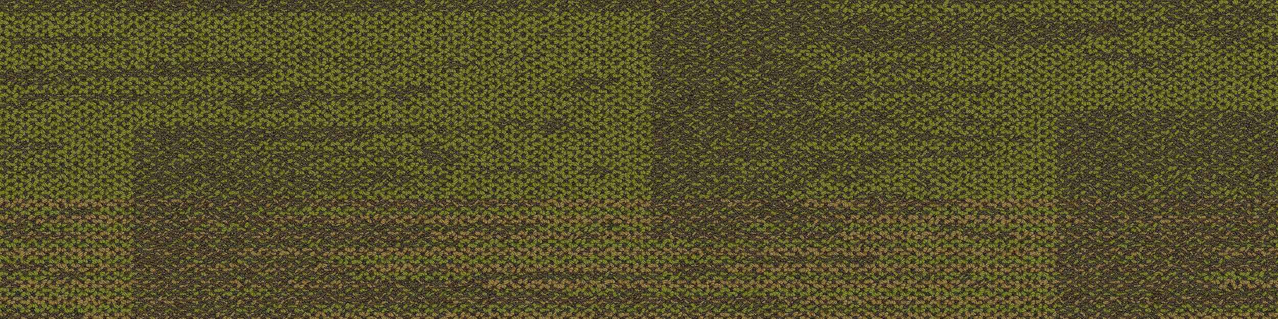 AE317 Carpet Tile In Citron image number 13