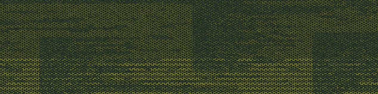 AE317 Carpet Tile In Grass image number 13