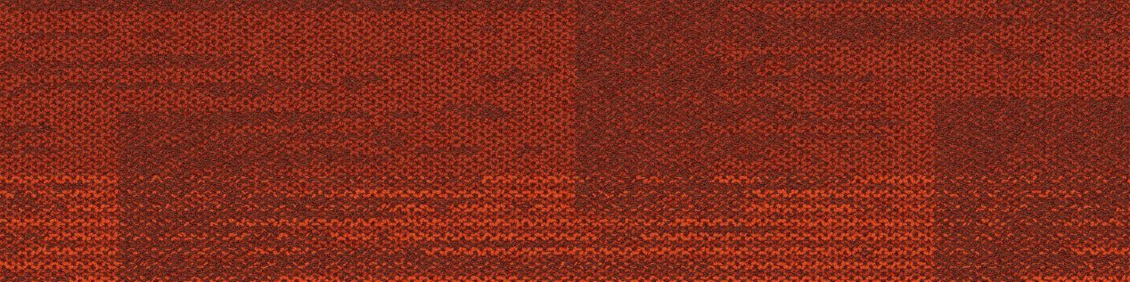 AE317 Carpet Tile In Persimmon image number 2