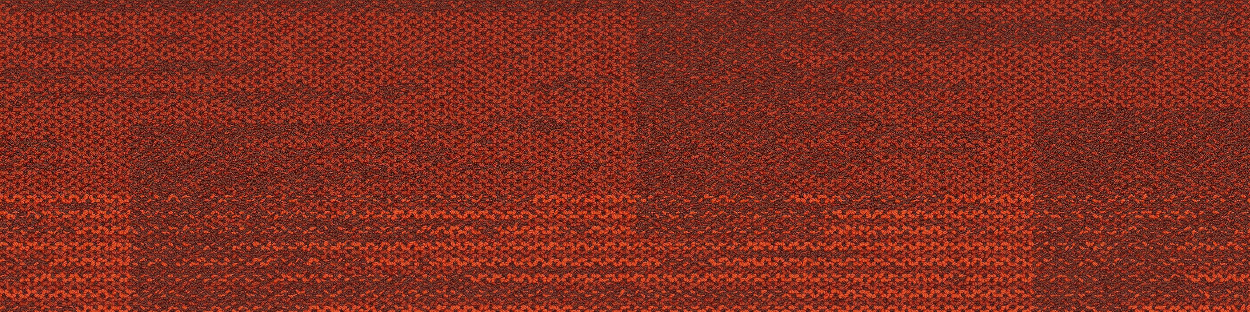 AE317 Carpet Tile In Persimmon imagen número 13