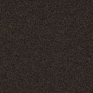 Barricade Two Carpet Tile In Brown