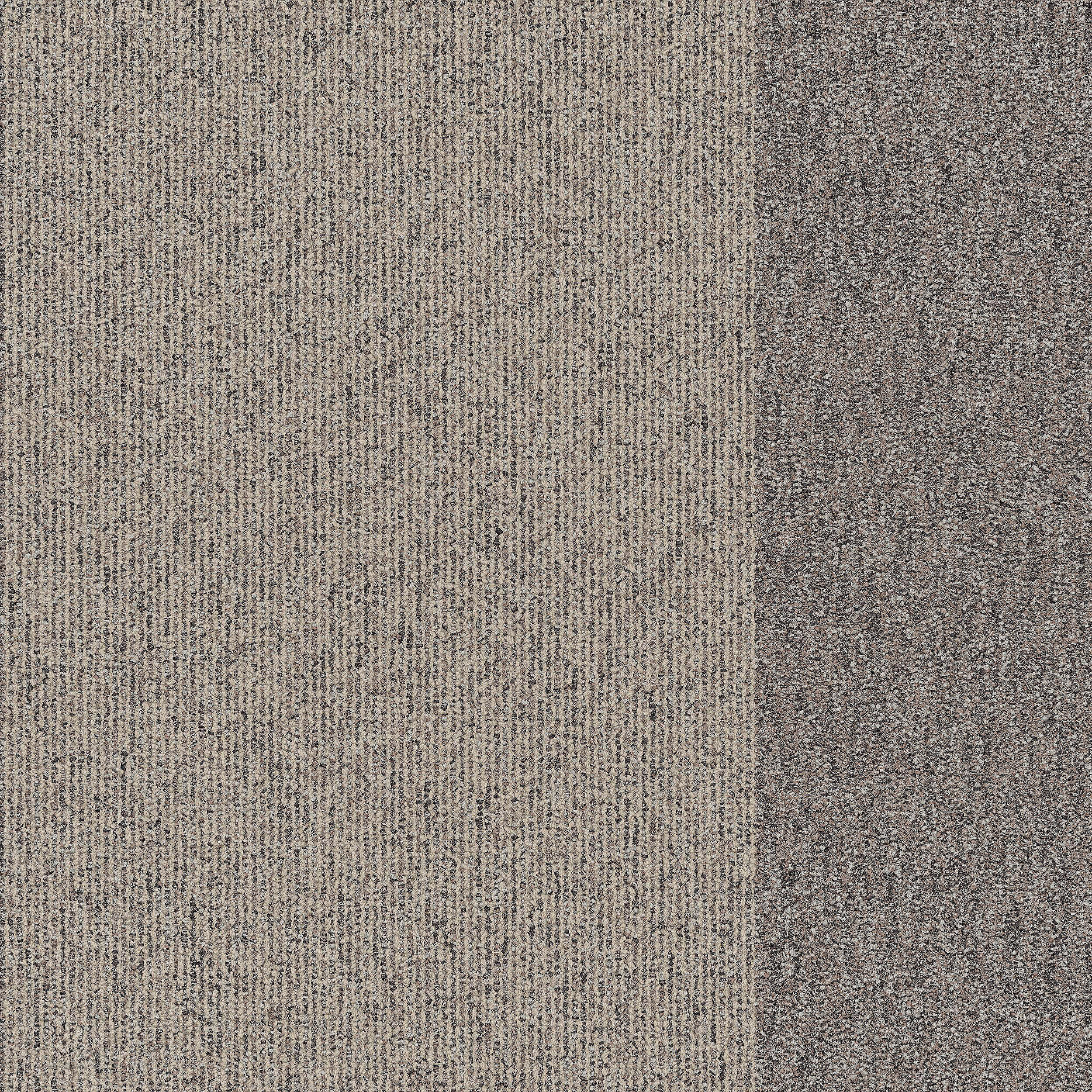Blended Carpet Tile In Blended Fieldstone image number 4