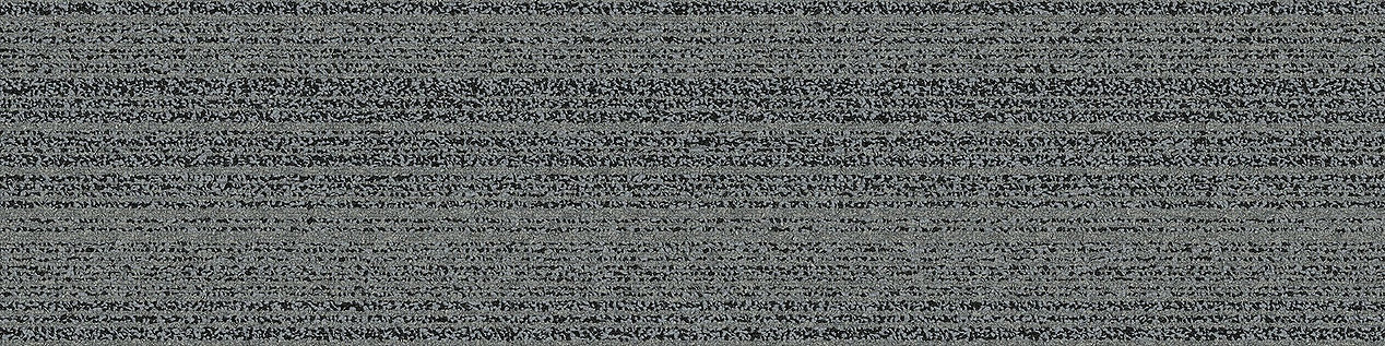 BP410 Carpet Tile In Dove imagen número 10