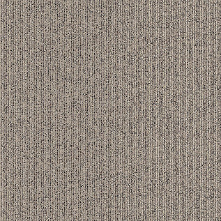 Broomed Carpet Tile In Broomed Fieldstone imagen número 4