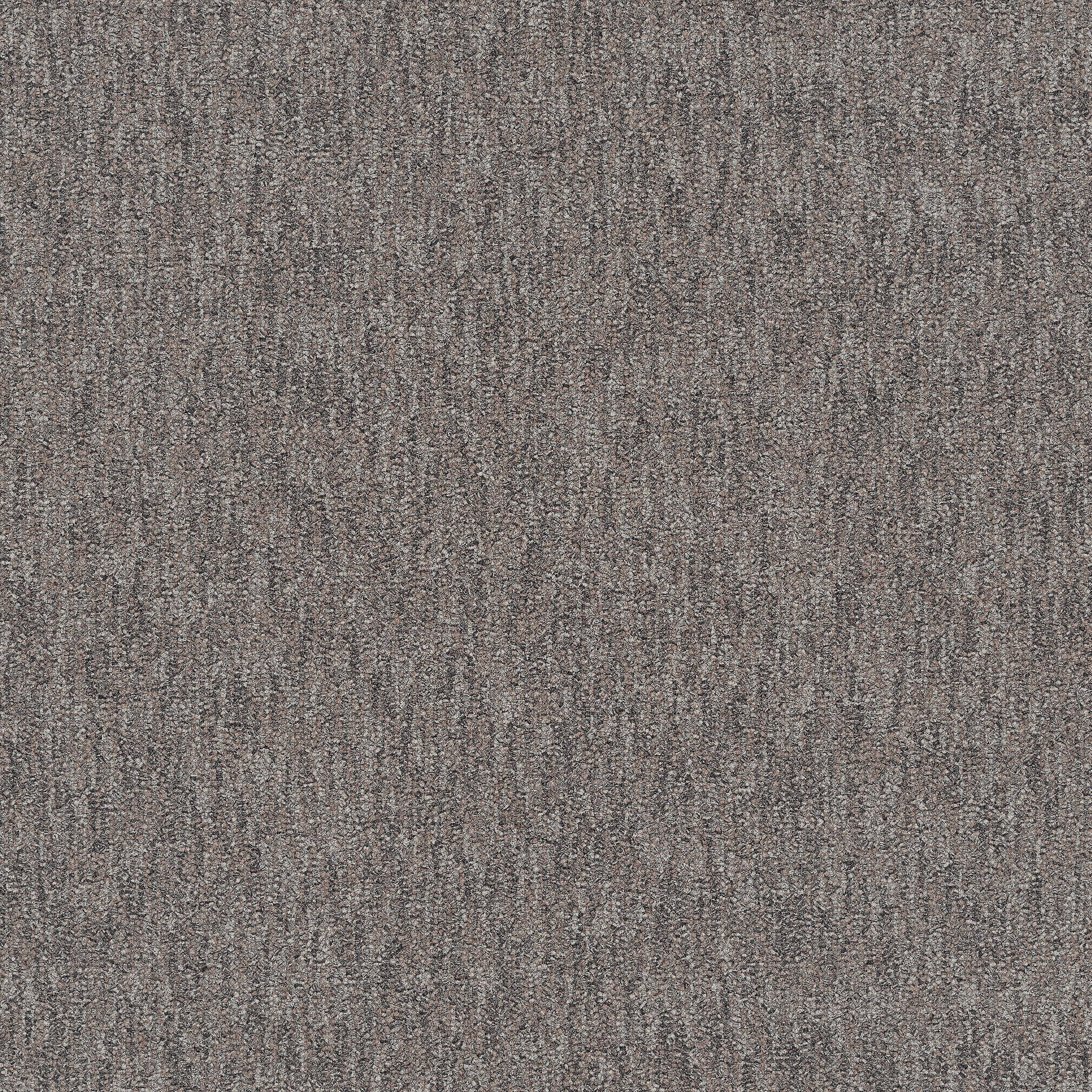 Brushed Carpet Tile In Brushed Fieldstone image number 4