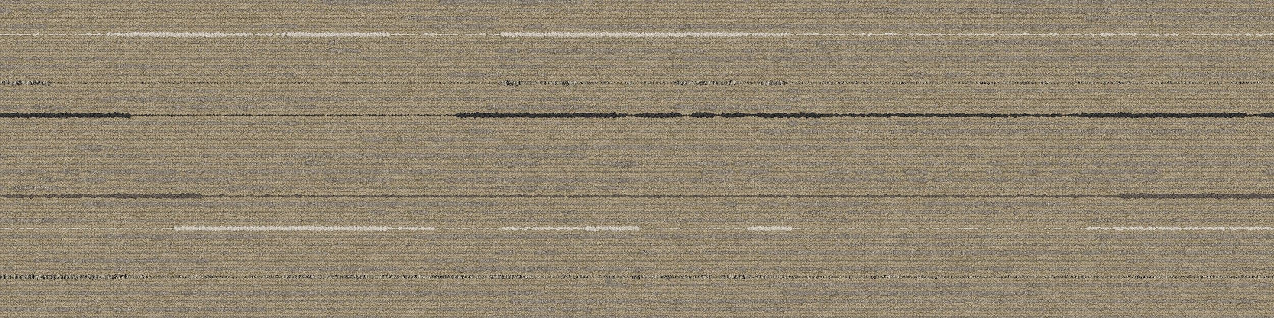 CE172 Carpet Tile In Haiku imagen número 2