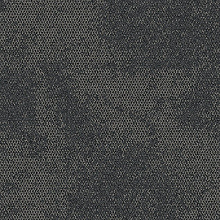 Composure Neutrals Carpet Tile In Fortitude