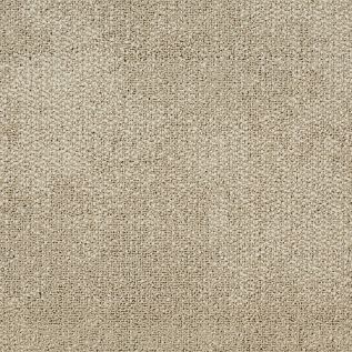 Composure Carpet Tile In Contemplate numéro d’image 2