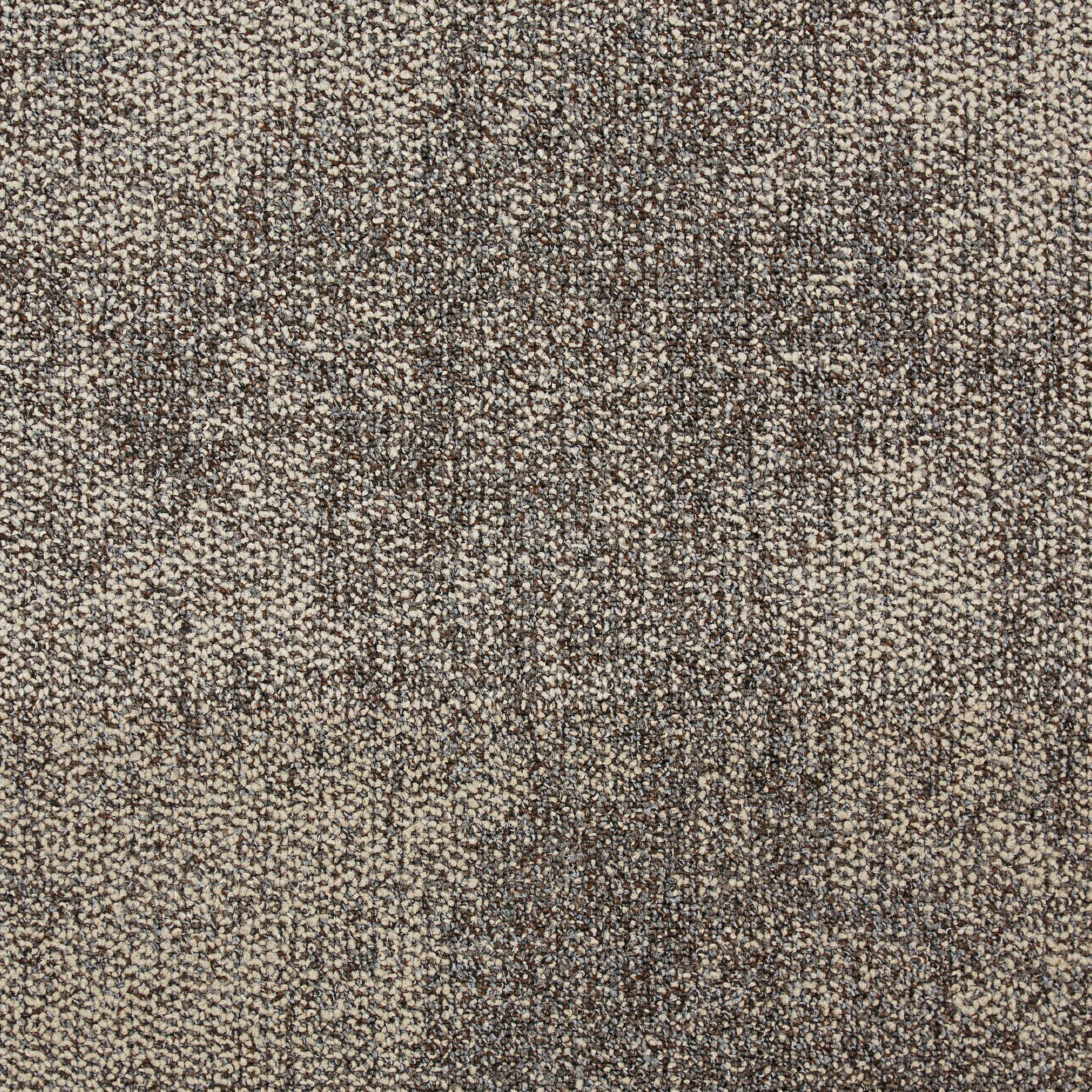 Composure Carpet Tile In Content numéro d’image 2