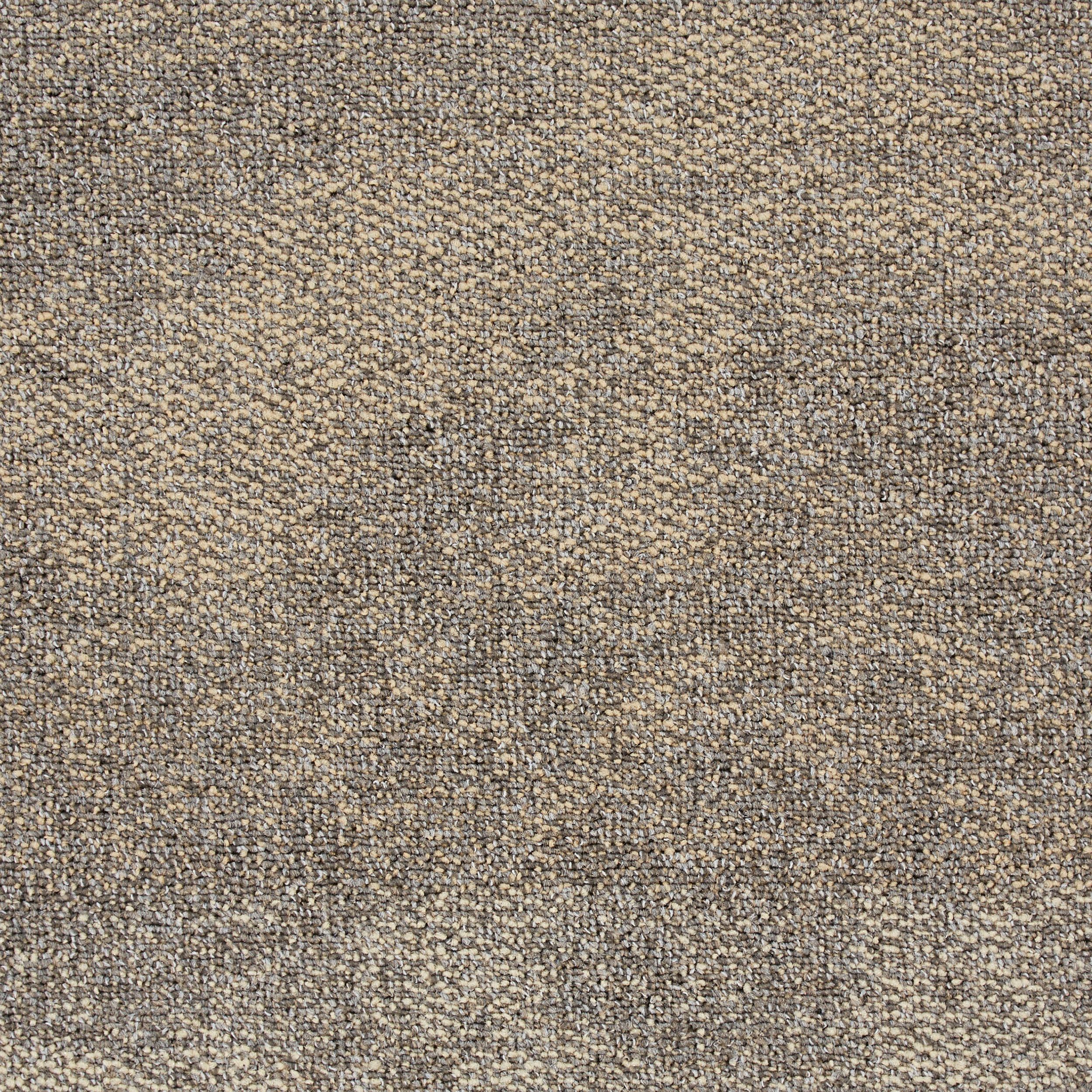Composure Carpet Tile In Retreat numéro d’image 2