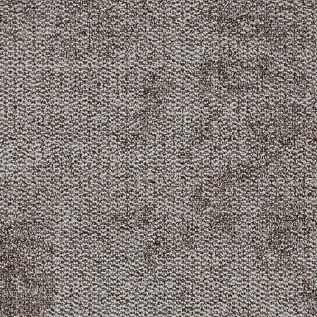 Composure Carpet Tile In Secure