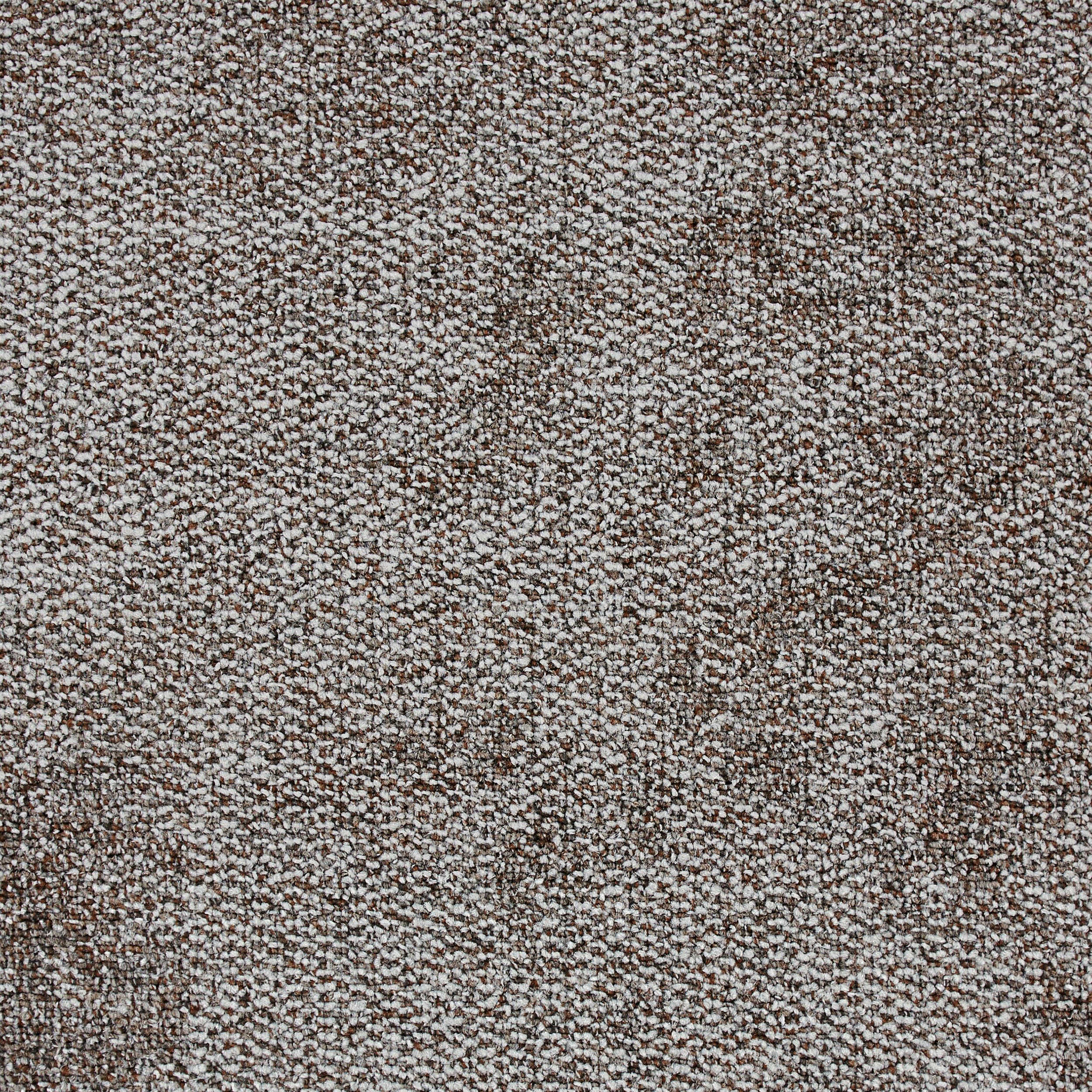 Composure Carpet Tile In Secure numéro d’image 2