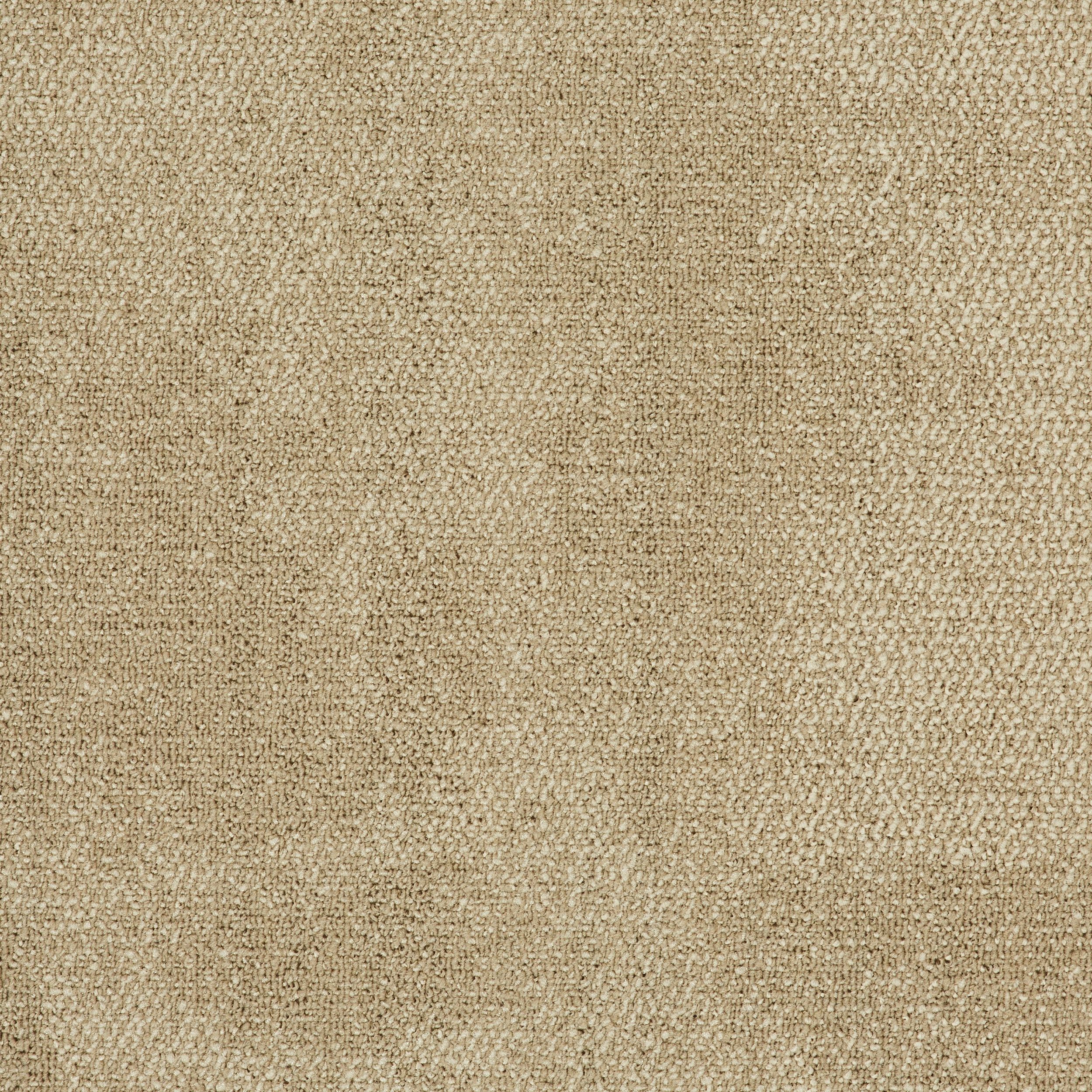 Composure Carpet Tile In Tranquil numéro d’image 2