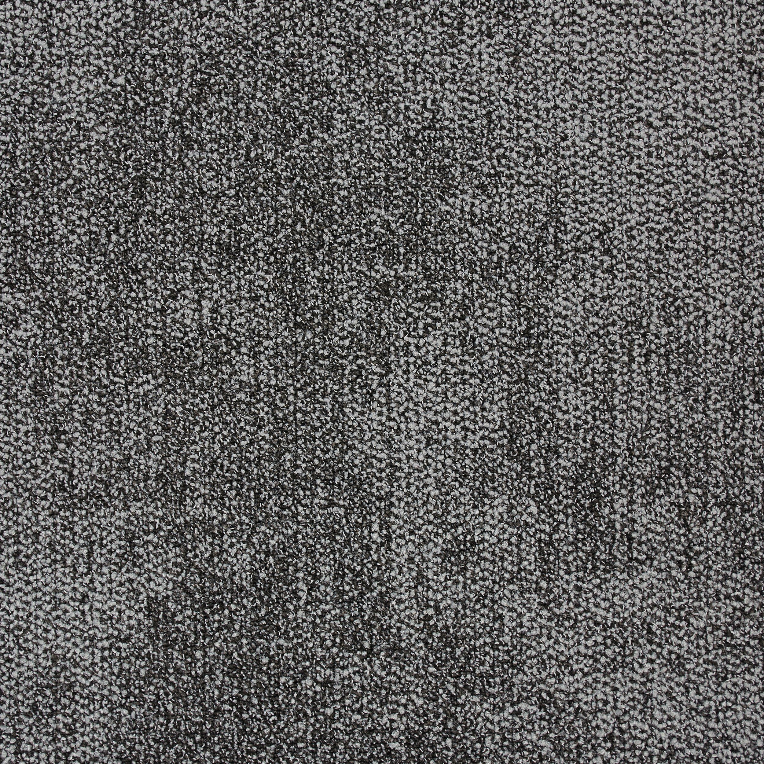 Composure Carpet Tile In Transcribe numéro d’image 2
