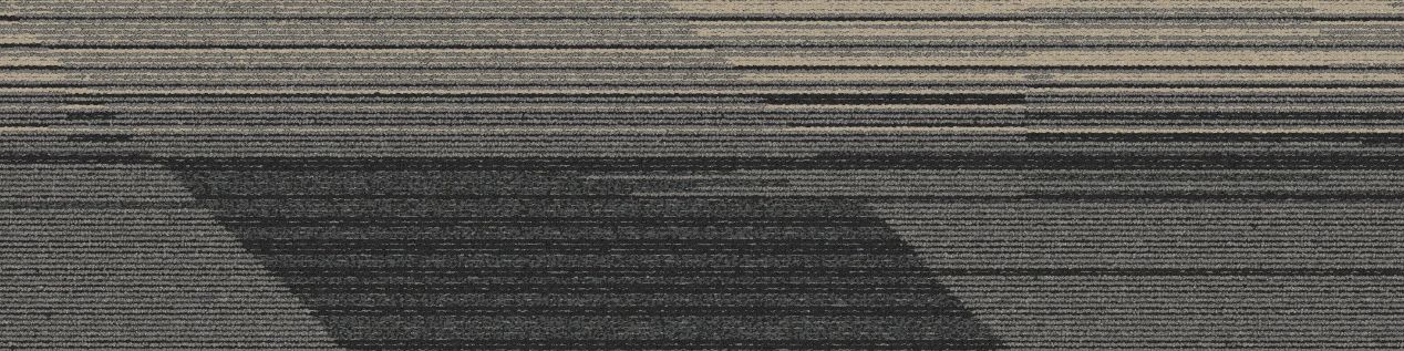 CT113 Carpet Tile In Onyx imagen número 2