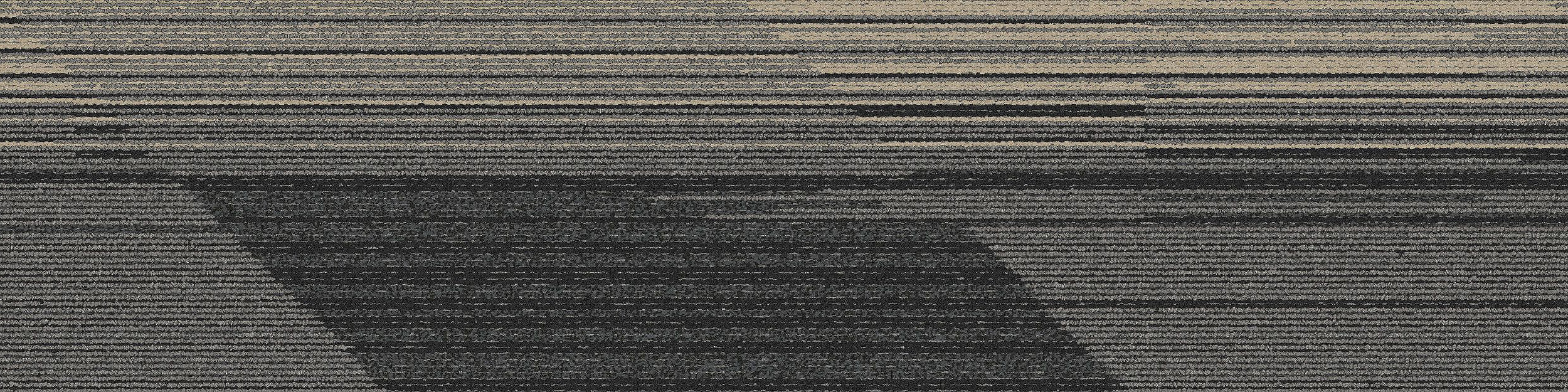 CT113 Carpet Tile In Onyx imagen número 4