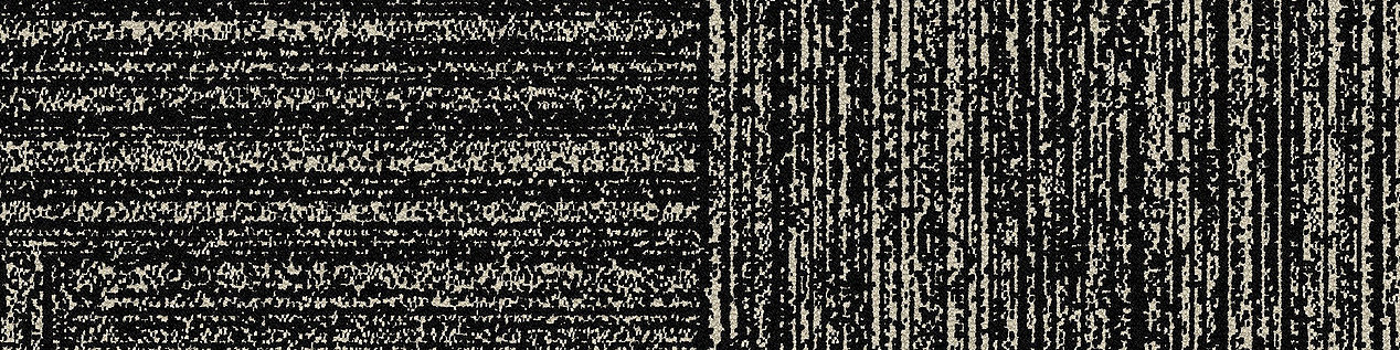 Decibel Carpet Tile In B&W Decibel