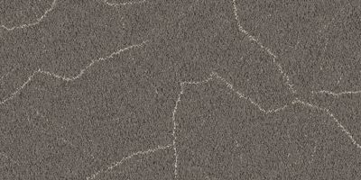 Desert Veins Carpet Tile in Cottonwood