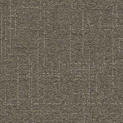 DL901 Carpet Tile In Fieldstone image number 1