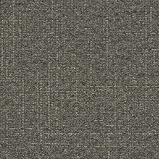 DL902 Carpet Tile In Mica