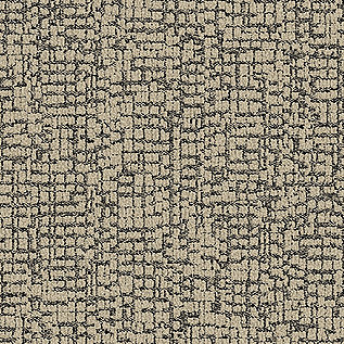 DL904 Carpet Tile In Pearl