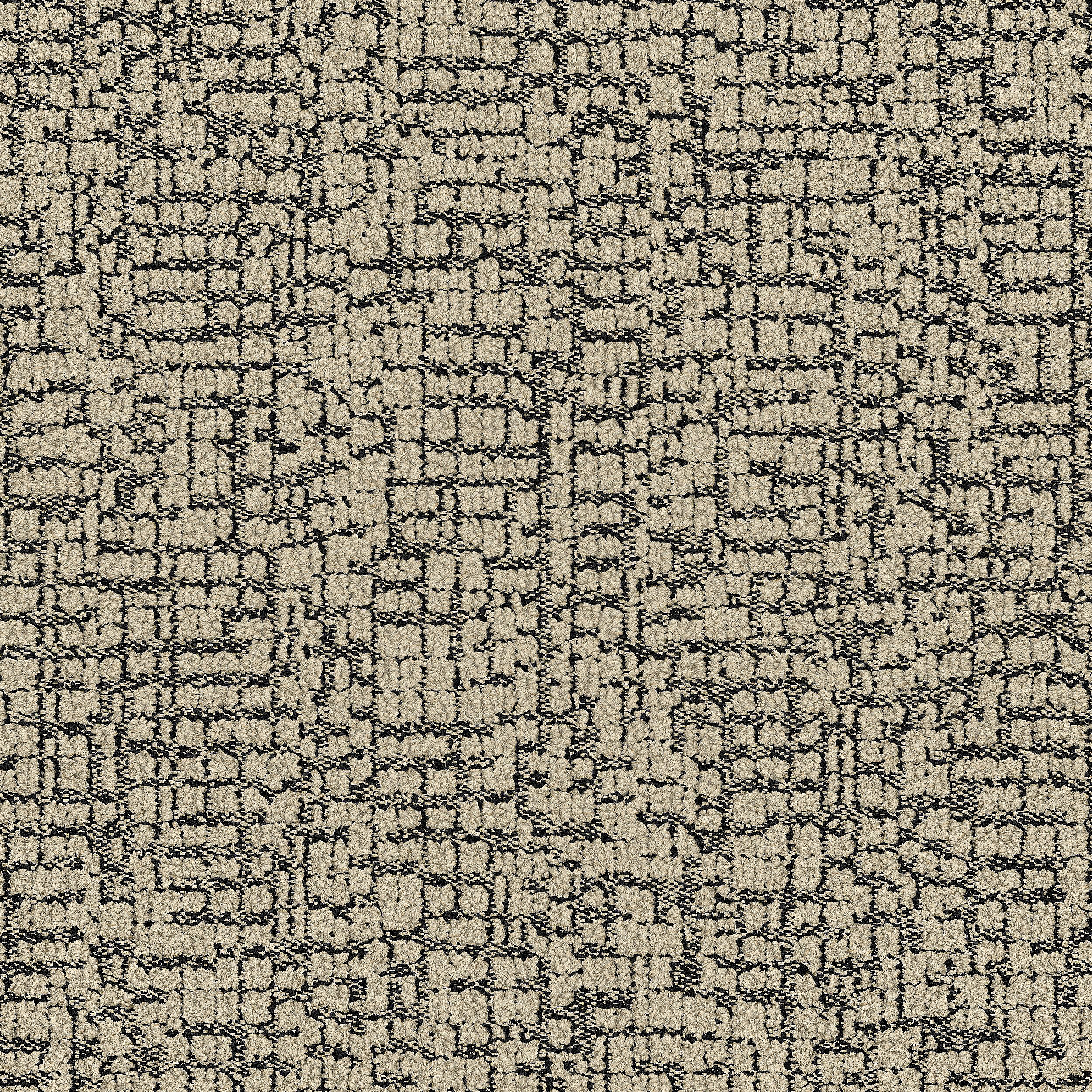 DL904 Carpet Tile In Pearl numéro d’image 3