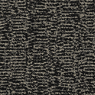 DL904N Carpet Tile In Flint imagen número 2