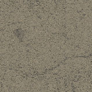 DL905 Carpet Tile In Graphite