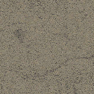 DL905 Carpet Tile In Graphite